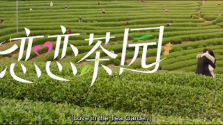 Love in the Tea Garden (2024) Ep.3 Eng Sub