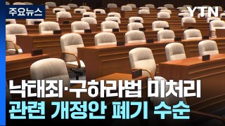 낙태죄·구하라법 등 21대 국회 미처리...'입법 공백' / YTN