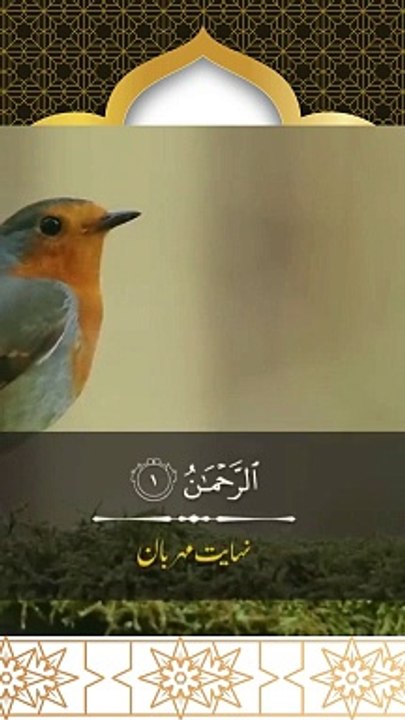 Ar Rahman #quran