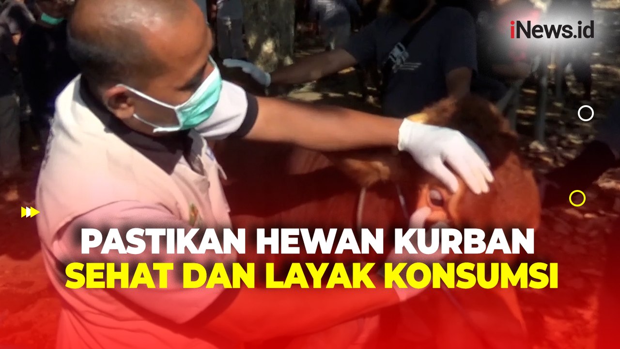Petugas Sidak Pasar Hewan di Madiun Jelang Idul Adha, Pastikan Bebas PMK