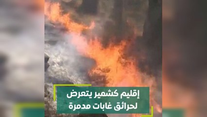 إقليم كشمير يتعرض لحرائق غابات مدمرة