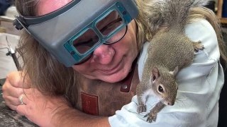 A man has befriended a squirrel - who now visits him every day and 