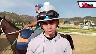 Hipismo: ¡Aprendiz Franklin Puello Jr por más victorias este domingo en La Rinconada!