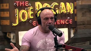 JRE MMA Show #156 with Craig Jones- The Joe Rogan Experience Video