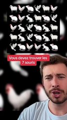 Trouver les 3 souris (Exclu Dailymotion)