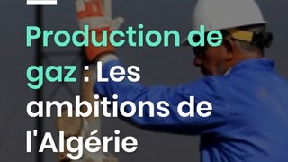 Production de gaz : Les ambitions de l'Algérie