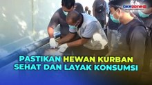 Jelang Idul Adha, Petugas Gencar Sidak Pasar Hewan Kurban di Madiun