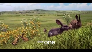 Watership Down (2018) Saison 1 - Watership Down: Trailer - BBC (EN)