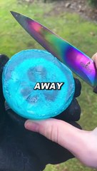 Look into their eyes... #factshorts #trendingshorts