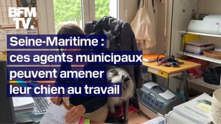 Seine-Maritime: ces agents municipaux peuvent travailler avec leur chien