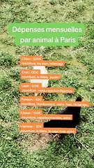 les chiffres insolites sur la France