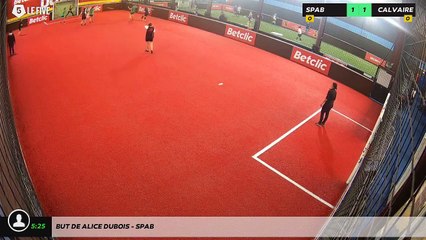 But de alice dubois - SPAB