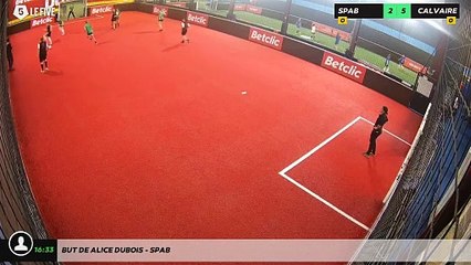 But de alice dubois - SPAB