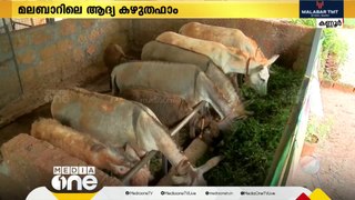 മലബാറിലെ ആദ്യത്തെ  കഴുത ഫാമിന്റെ വിശേഷങ്ങളറിയാം