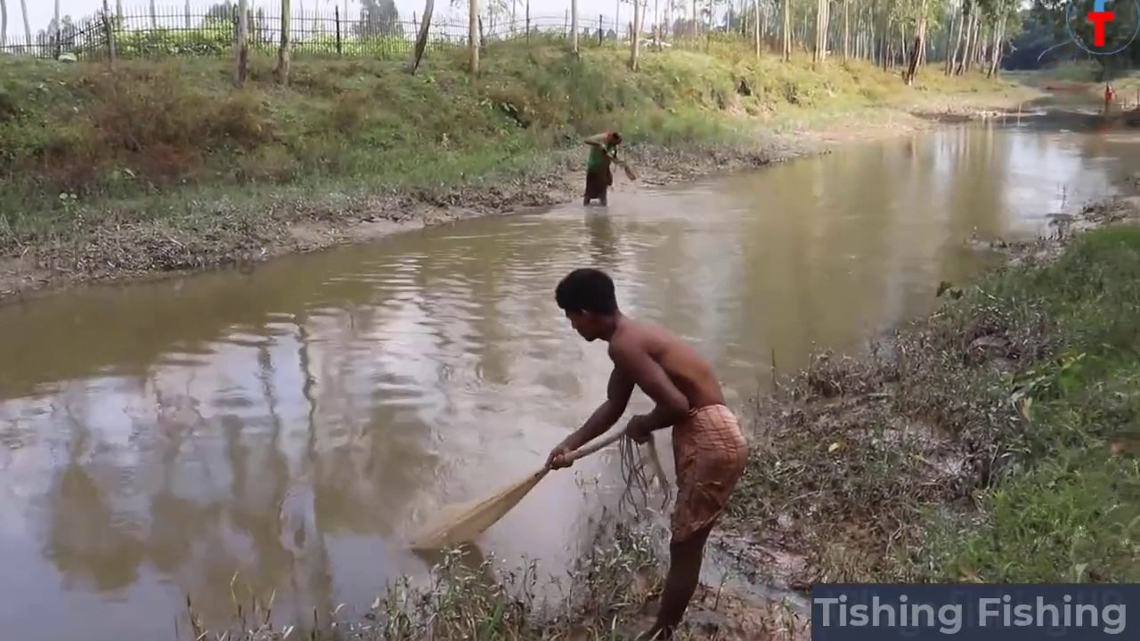Best Net Fishing Fish Hunting By Cast Net Net Fishing in The Village