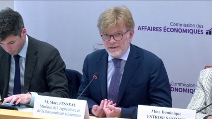 Fesneau: « Je ne serais pas le ministre qui réintroduira des molécules interdites »,