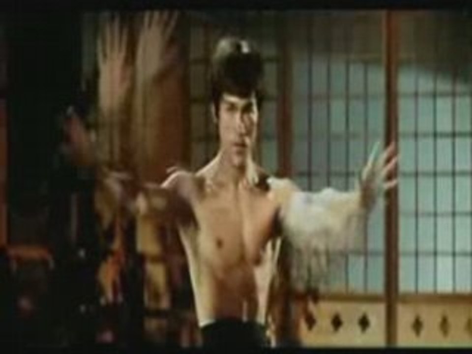 Bruce Lee the little dragon