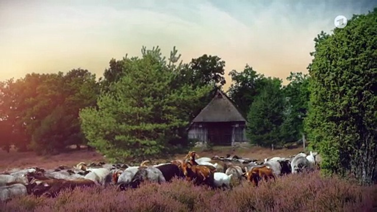 Folgenschwerer Fehler (3990)