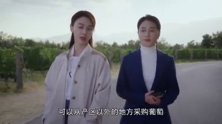 Hometown of Stars (2024) EP 15 ENG SUB