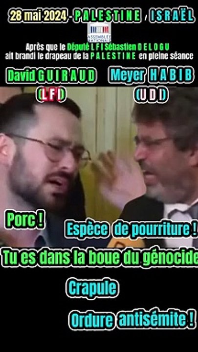 #AssembléeNationale#Israël#Palestine#LFI#DanielGuiraud#Cochon#MeyerHabib#28mai2024