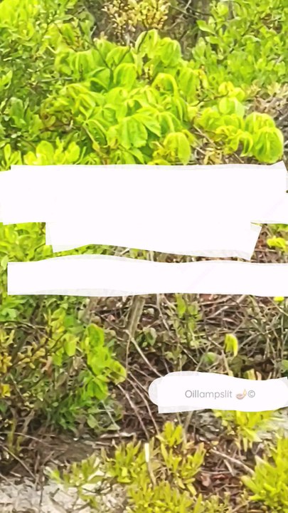 But the Lord is faithful, who shall stablish you, and keep you from evil.2 Thessalonians 3:3 - KJV