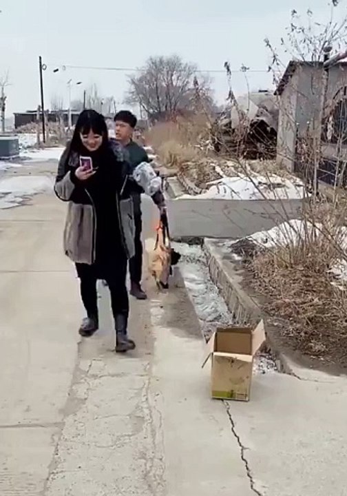 Funny videos