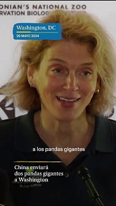 Osos panda en Estados Unidos