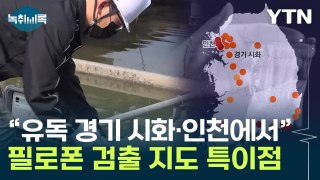 전국이 뚫렸다...'필로폰' 경기 시화·인천에서 다량 검출 [Y녹취록] / YTN