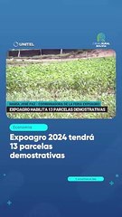 Expoagro 2024 tendrá 13 parcelas demostrativas