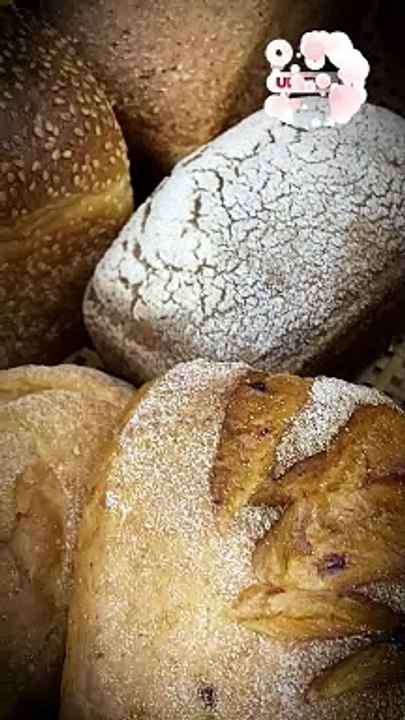 Pan Blanco o Integral: ¿Cuál es la Diferencia? ¿Cuál es Mejor?