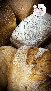 Pan Blanco o Integral: ¿Cuál es la Diferencia? ¿Cuál es Mejor?