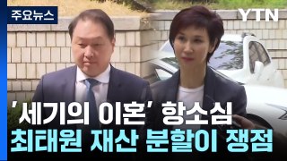 '세기의 이혼' 최태원-노소영 결말은?...오늘 2심 선고 / YTN