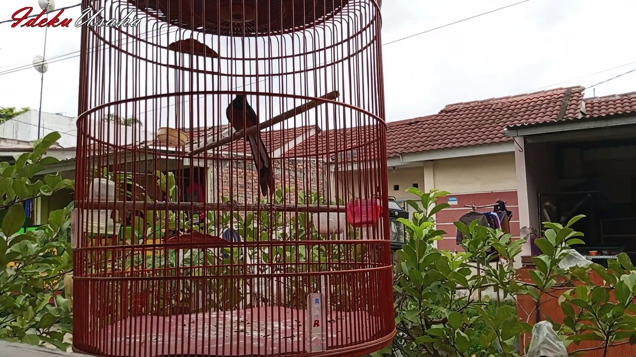 Kalau Caramu Sepertiini gak heran kamu gagal juara