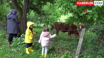 Şavşat'ın tarihi ve doğal güzellikleri için bahar gezisi düzenlendi