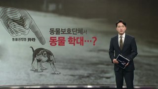 동물보호단체 카라, 동물학대 논란 [앵커리포트] / YTN
