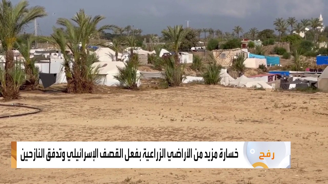 تضرر مساحات شاسعة من الأراضي الزراعية في غزة ورفح بسبب القصف الإسرائيلي