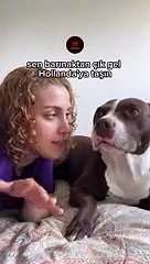 Pitbull cinsi köpeğine sözleri sosyal medyanın gündemine yerleşti! "Senin yerinde olmak isteyen insanlar var"