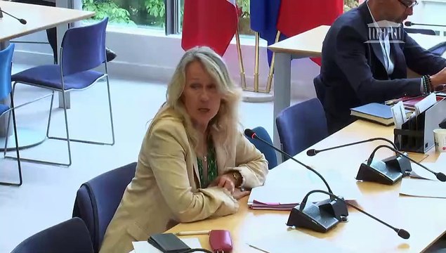 Commission des affaires européennes : Examen de diverses propositions de résolution - Mercredi 29 mai 2024