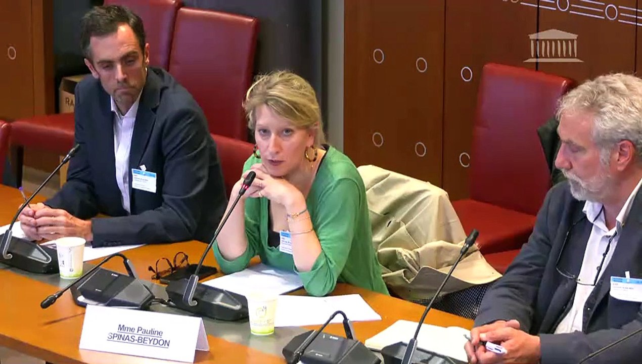 Manquements des politiques de protection de l’enfance : Auditions diverses - Mercredi 29 mai 2024