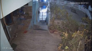 बाला किला जंगल से पैंथर आया और शिकार को दबोचा, वीडियो CCTV कैमरे में कैद
