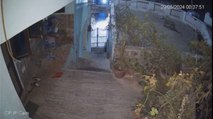 बाला किला जंगल से पैंथर आया और शिकार को दबोचा, वीडियो CCTV कैमरे में कैद