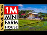 P1 Million Mini Farmhouse With A View | Unique Homes | OG