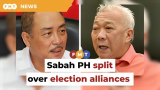 Sabah PH likely split over election alliances, says analyst