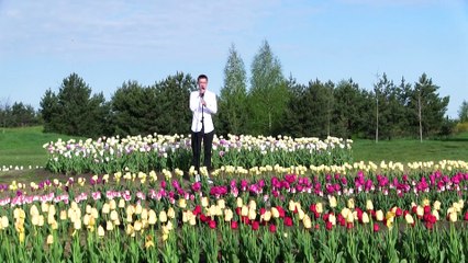 Лайко Кирил "Мам". Наливайківка (2023)