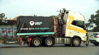 Hundreds of farmers swarm Perth roads with trucks to protest Albanese government’s live export ban
