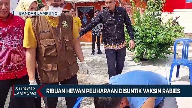 Ribuan Hewan Peliharaan Disuntik Vaksin Rabies