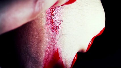 Warpaint Logo Animation