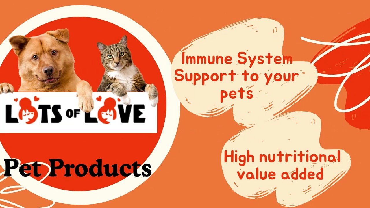 Video Creation Lots of Love Pet Products