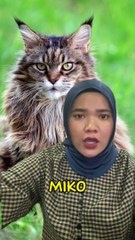 Nama kuceng korang apa? Comel macam korang takk