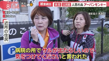 バラエティー動画   Miomio.guru -  羽鳥慎一モーニングショー 動画　2024年5月30日